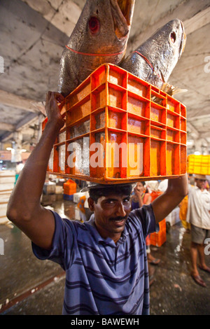 Man Carrying Fish in the Crawford Fish Market in Mumbai India Stock Photo