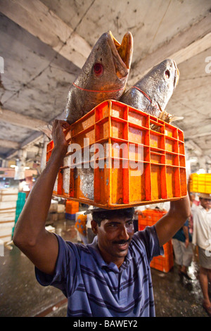 Man Carrying Fish in the Crawford Fish Market in Mumbai India Stock Photo