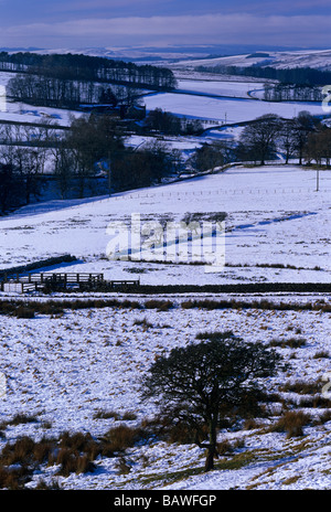 Catcleugh Reservoir near Carter Bar, Northumberland Stock Photo