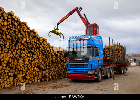 Scania Grab Hiab Loader haulage truck loading freight, Timber stacks, cut pine logs, exports on quayside at Fraserburgh, Aberdeenshire, Scotland, UK Stock Photo