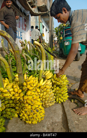 The Banana Seller, Mysore, India Stock Photo - Alamy