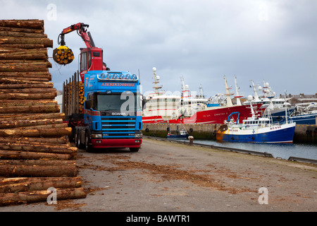 Scania Grab Hiab Loader haulage truck loading freight, Timber stacks, cut pine logs, exports on quayside at Fraserburgh, Aberdeenshire, Scotland, UK Stock Photo