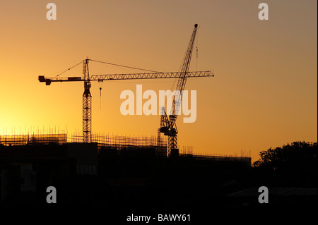 Tower Cranes silhouetted in sunrise Stock Photo