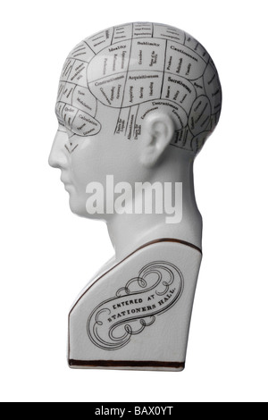 Phrenology ceramic bust head Stock Photo