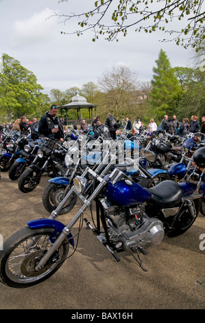 Large collection of Custom Motorbikes  in Buxton Pavilion Gardens Derbyshire in the Peak District England UK Stock Photo