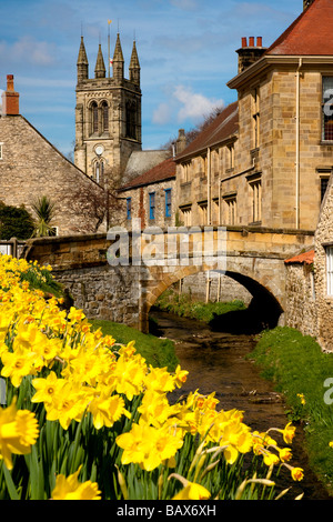 Daffodil time Castlegate Helmsley North Yorkshire Stock Photo