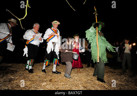 Green Man and the Mendip Morris Men lead the Wassailing Procession around the apple tree Thatchers Cider Wassailing event Stock Photo