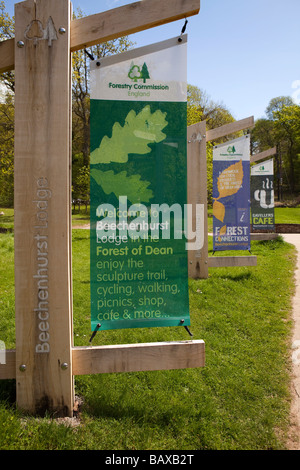 UK Gloucestershire Forest of Dean Beechenhurst Lodge Forest Commission Visitor Centre publicity flags Stock Photo