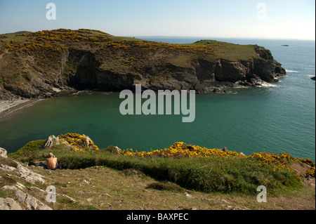 Gwadn Cove and Penrhyn Point near Solva on the Pembrokeshire Coast National Park Wales UK Stock Photo