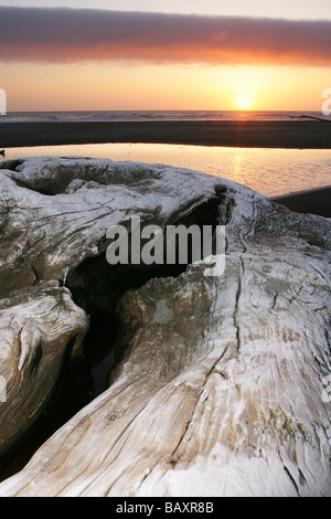 Sunset on Gold Bluffs Beach - Prairie Creek Redwoods State Park - near Crescent City, California Stock Photo