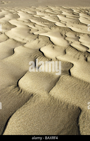 Dunescape - Great Sand Dunes National Park and Preserve - near Mosca, Colorado Stock Photo