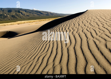 Dunescape - Great Sand Dunes National Park and Preserve - near Mosca, Colorado Stock Photo