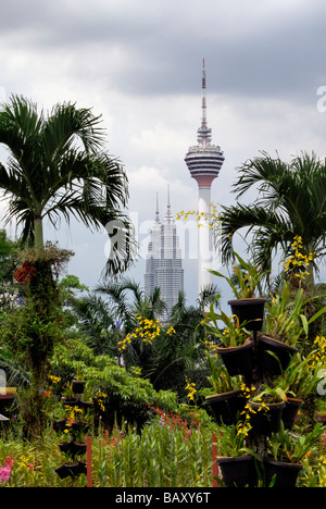 Orchid Garden,Kuala Lumpur,Malaysia, showing KL Tower and Petronas Towers in background Stock Photo