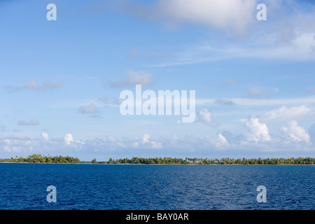 Coconut trees on Fakarava Atoll, Fakarava, The Tuamotus, French Polynesia Stock Photo