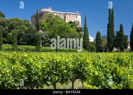 A vineyard in front of the castle Chateau Suze-la-Rousse, Drome, Provence, France Stock Photo