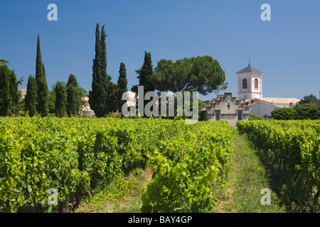 Vineyard in front of the houses of the village Suze-la-Rousse, Drome. Provence, France Stock Photo