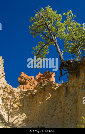 Colorado Provencal, rocks of ochre under a blue sky, Rustrel, Vaucluse, Provence, France Stock Photo