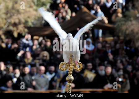 A dove is released as part of a Christian mass-baptism ceremony on the banks of the River Jordan, in both Israel and Jordan. Stock Photo