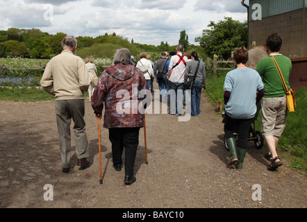 A mixed group of adults and elerly people on a nature day trip Stock Photo
