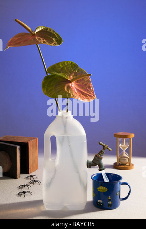 Surreal, 'Still Life', water shortage. Stock Photo