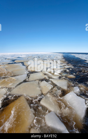 Breaking sea ice on ship's wake , Gulf of Bothnia , Finland Stock Photo