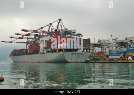 container ship in La Spezia harbour Stock Photo