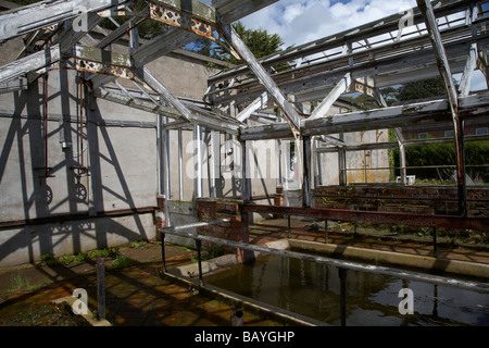 interior including pond of old abandoned ruined victorian greenhouse Stock Photo