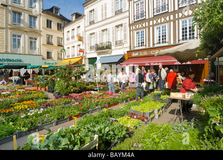 Flower Market Pont Audemer Normandy France Stock Photo