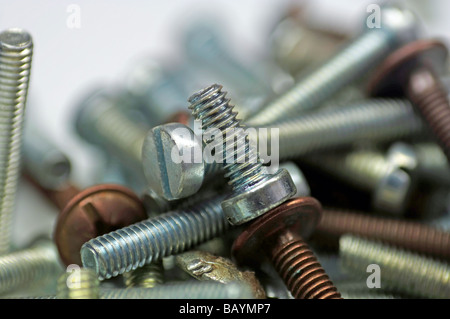 a lot of screws silbern or brown Stock Photo