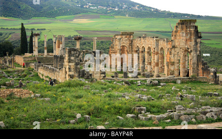 Spring-time at Volubilis; the UNESCO inscribed Roman ruins on a long,high plateau just north of Meknes in  Morocco, North Africa Stock Photo