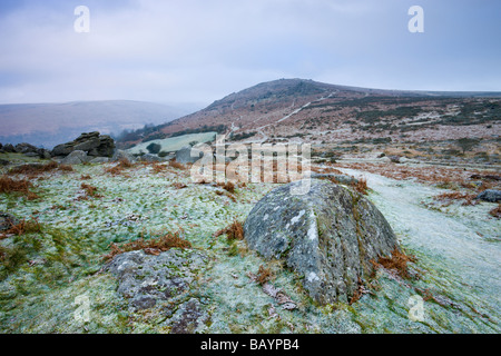 Frosted granite moorland on near Bonehill Rocks, Dartmoor National Park Devon England January 2009 Stock Photo