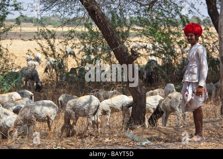 Rajput Shepherd Wearing Turban in Rajasthan India Stock Photo