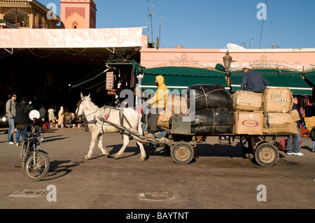 A horse used to transport goods in Djemma El Fna Square in Marrakesh, Morocco Stock Photo