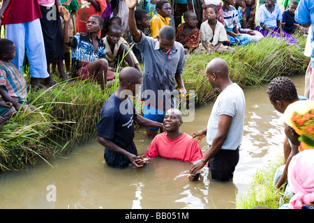 Adult Christian baptism by total immersion in a shallow river in the village of Nyombe, Malawi, Africa Stock Photo