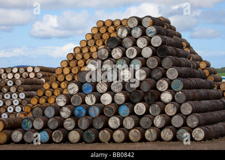 Old, wood, wooden, cask, container, Whisky barrels at Speyside Cooperage,  Visitor Centre, Craigellachie, Aberlour, Banffshire, Grampian Scotland uk Stock Photo