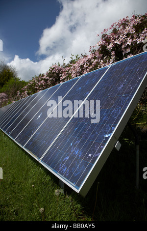 sun shining down on an array of blue tinted polycrystalline silicon photovoltaic solar panels in county tyrone northern ireland Stock Photo