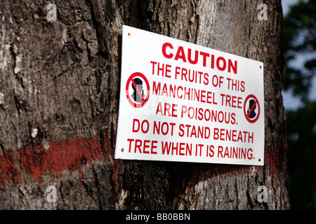 The Manchineel tree (Hippomane mancinella) is a species of flowering plant in the spurge family poison sign Stock Photo