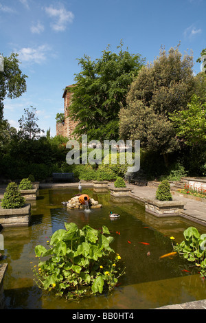 UK Essex Colchester Castle Museum Upper Park Imola Gardens Water Feature Koy Carp Wild Fowl Stock Photo