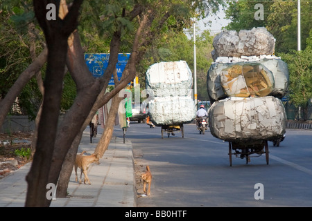 Indian Recycler with a Load of Styrofoam in Delhi India Stock Photo