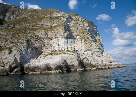 Chalk cliffs Ballard Point near Old Harry Rocks, Dorset, England Stock Photo