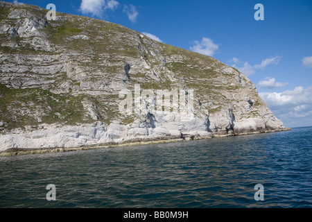 Chalk cliffs Ballard Point near Old Harry Rocks, Dorset, England Stock Photo