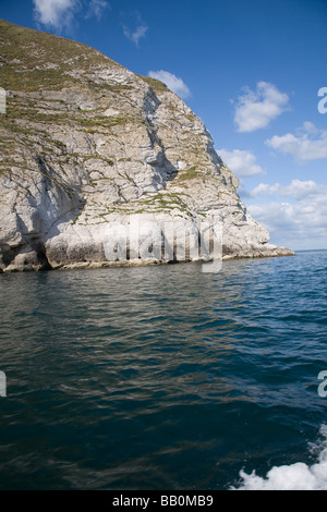 Chalk cliffs Ballard Point near Old Harry Rocks, Dorset, England Stock Photo