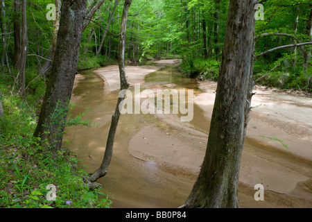 Big Creek, Sicily Island Hills Wildlife Management Area, Louisiana Stock Photo