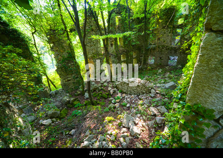 Derelict stone building standing in nature, covered with forest vegetation Stock Photo