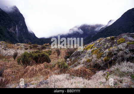 U shaped glaciated valley  and alpine vegetation Kepler Track Fiordland National Park Southland South Island New Zealand Stock Photo