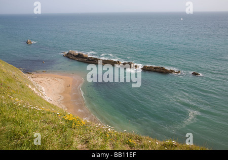 Limestone stumps chalk cliffs, Man o War Bay, Dorset, England Stock ...