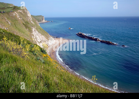 Limestone stumps chalk cliffs, Man o War Bay, Dorset, England Stock ...