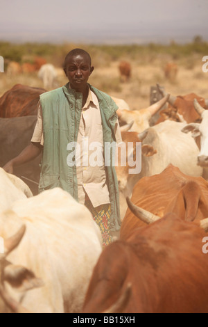 Samburu Herdsman with cattle in the desert of Northern Kenya Stock Photo