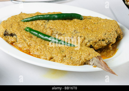 Doi ilish Hilsa or Ilish Mach is a popular fish dish from eastern part of India. Stock Photo