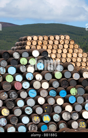 Stacks of Whisky barrels at Speyside Cooperage,  Visitor Centre, Craigellachie, Aberlour, Banffshire, Grampian Scotland uk Stock Photo